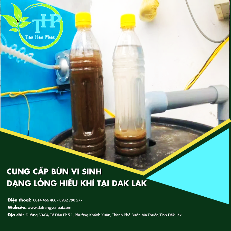 Cung cấp bùn vi sinh dạng lỏng hiếu khí tại Dak Lak