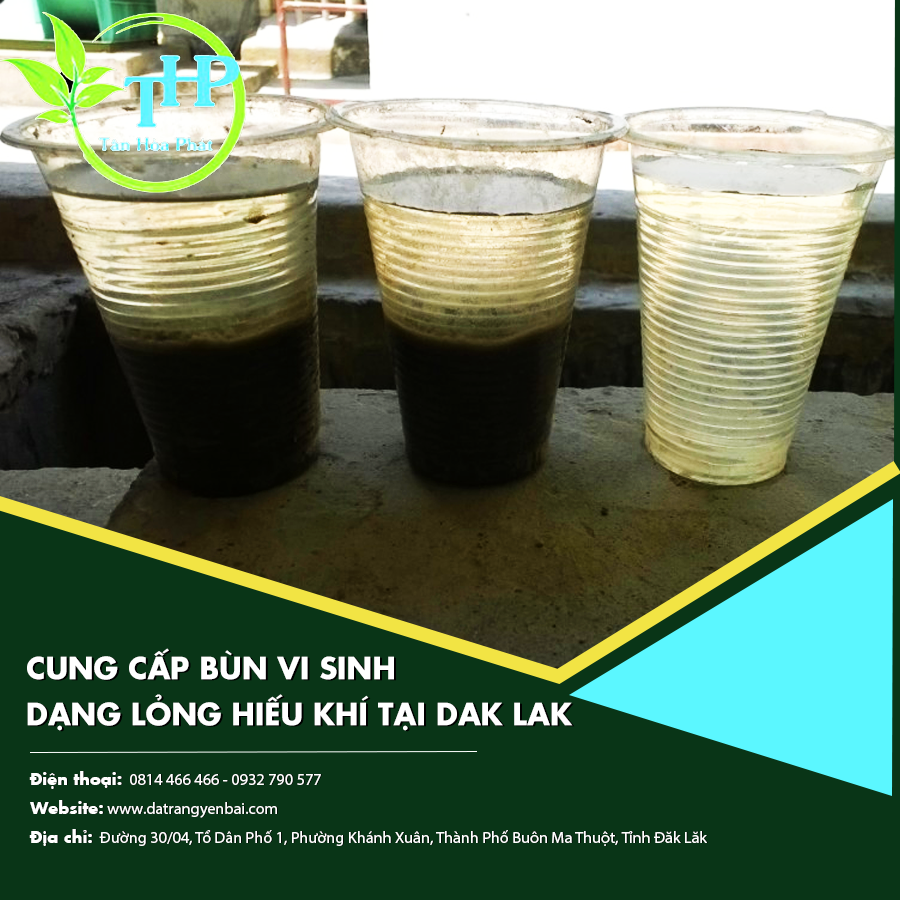 Cung cấp bùn vi sinh dạng lỏng hiếu khí tại Dak Lak