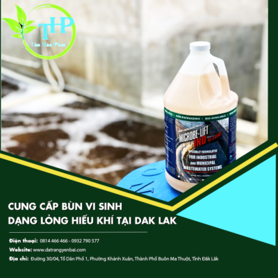 Cung cấp bùn vi sinh dạng lỏng hiếu khí tại Dak Lak