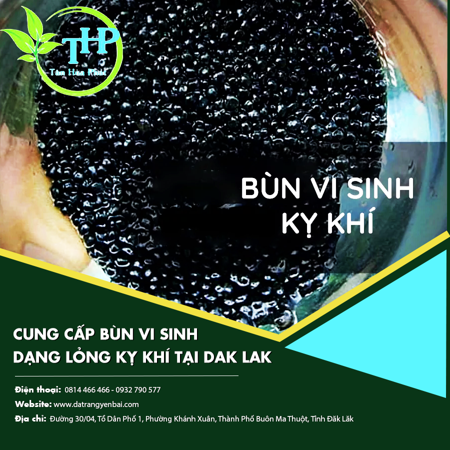 Cung cấp bùn vi sinh dạng lỏng kỵ khí tại Dak Lak