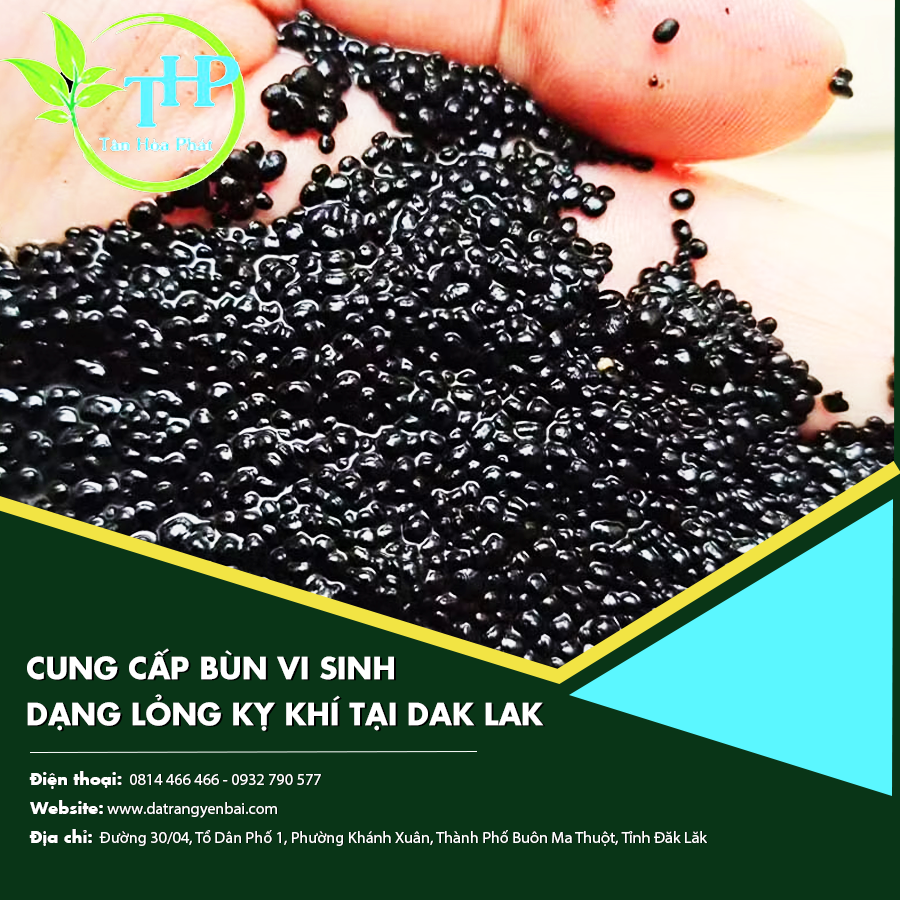 Cung cấp bùn vi sinh dạng lỏng kỵ khí tại Dak Lak