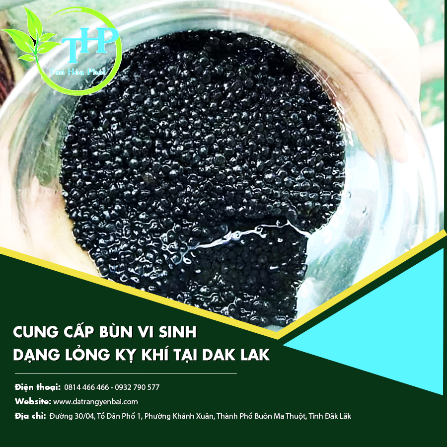 Cung cấp bùn vi sinh dạng lỏng kỵ khí tại Dak Lak